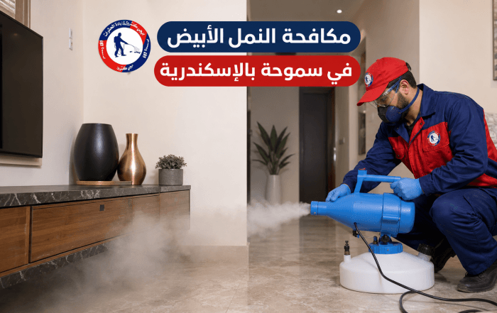 شركة مكافحة النمل الأبيض في سموحة