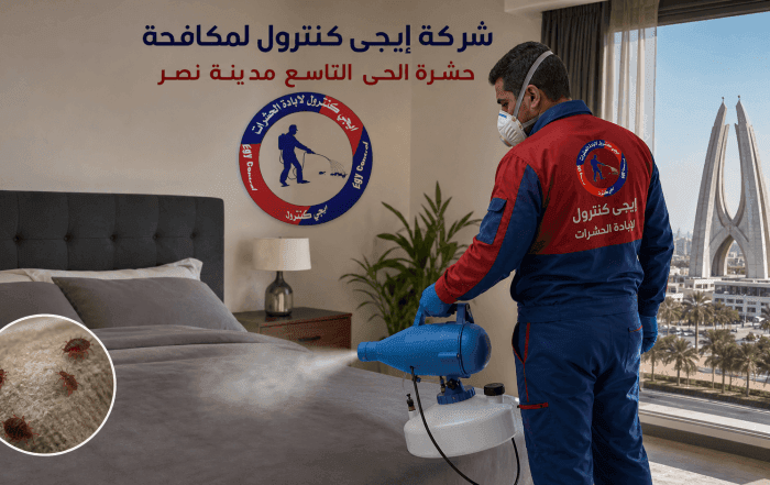 شركة مكافحة حشرات في الحي التاسع