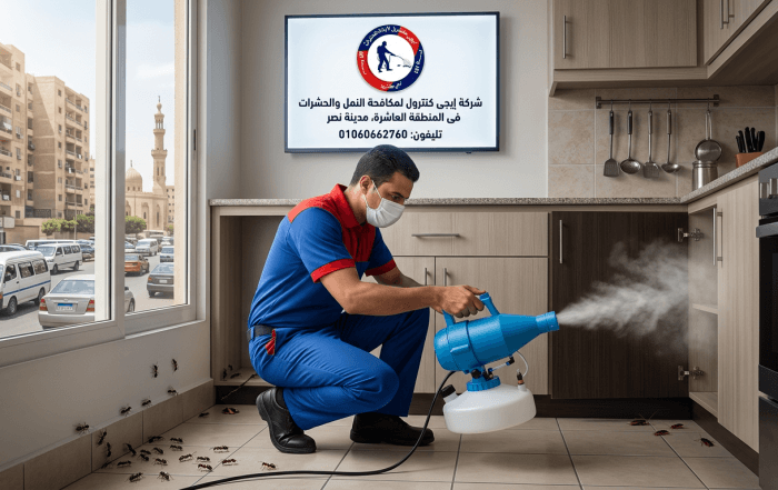 شركة مكافحة حشرات في المنطقة العاشرة