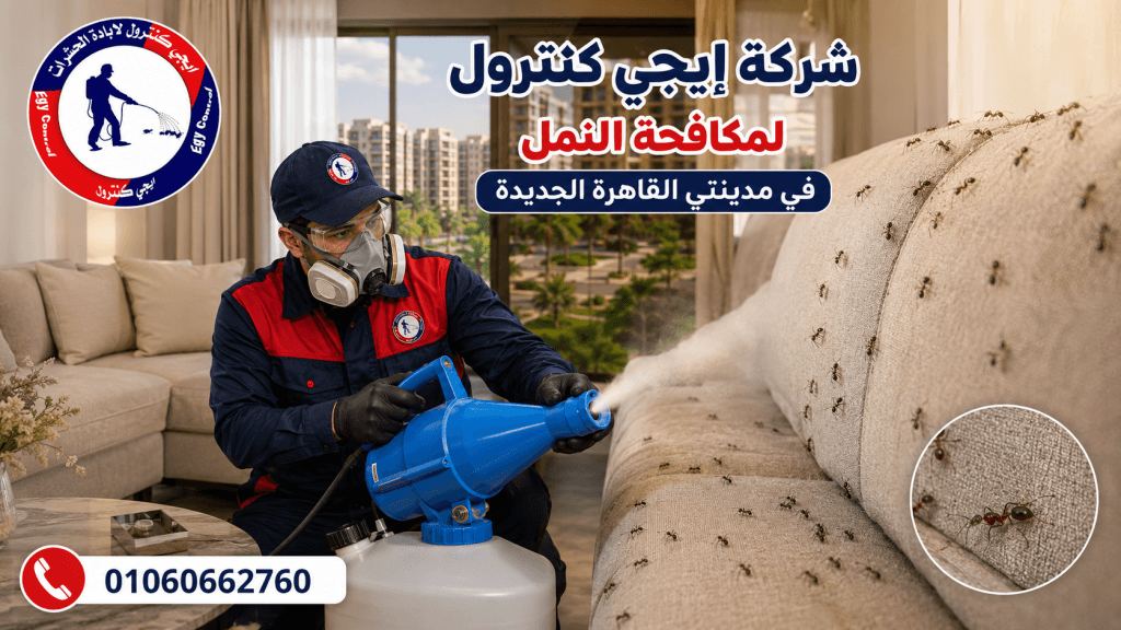مكافحة النمل في مدينتي