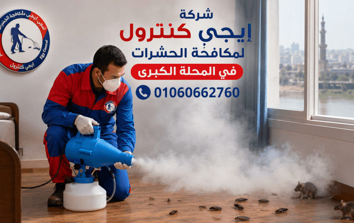 شركة مكافحة حشرات في المحلة الكبرى