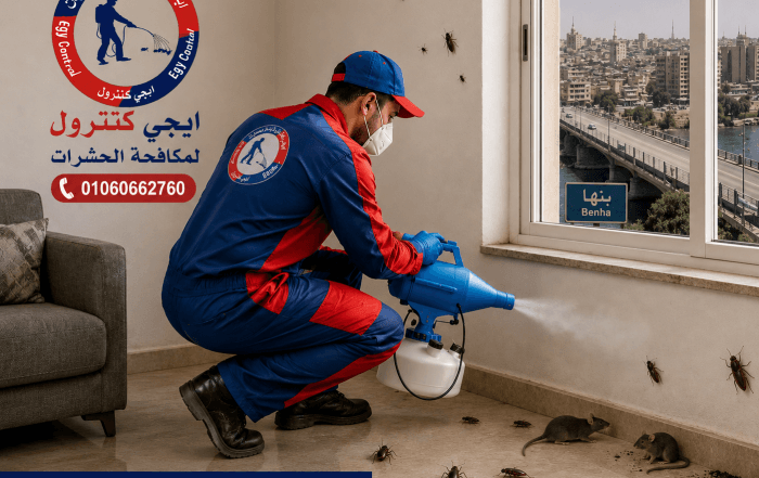 شركة مكافحة حشرات في بنها