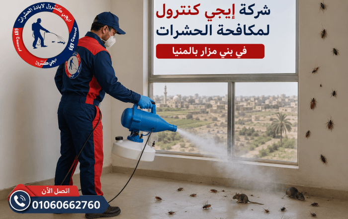 شركة مكافحة حشرات في بنى مزار