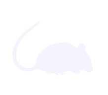 مكافحة الفئران