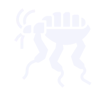 مكافحة بق الفراش