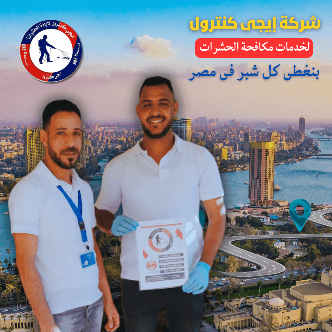 أفضل شركة مكافحة حشرات