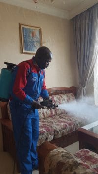 شركة مكافحة حشرات في حلمية الزيتون 01060662760 بخصم 60% 7 مكافحة حشرات في حلمية الزيتون