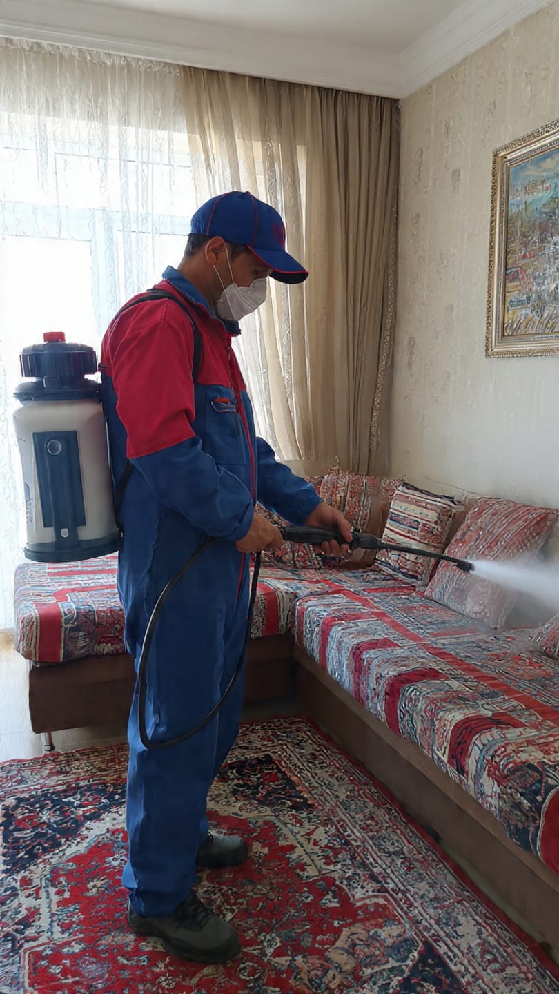 شركة مكافحة حشرات في حلمية الزيتون