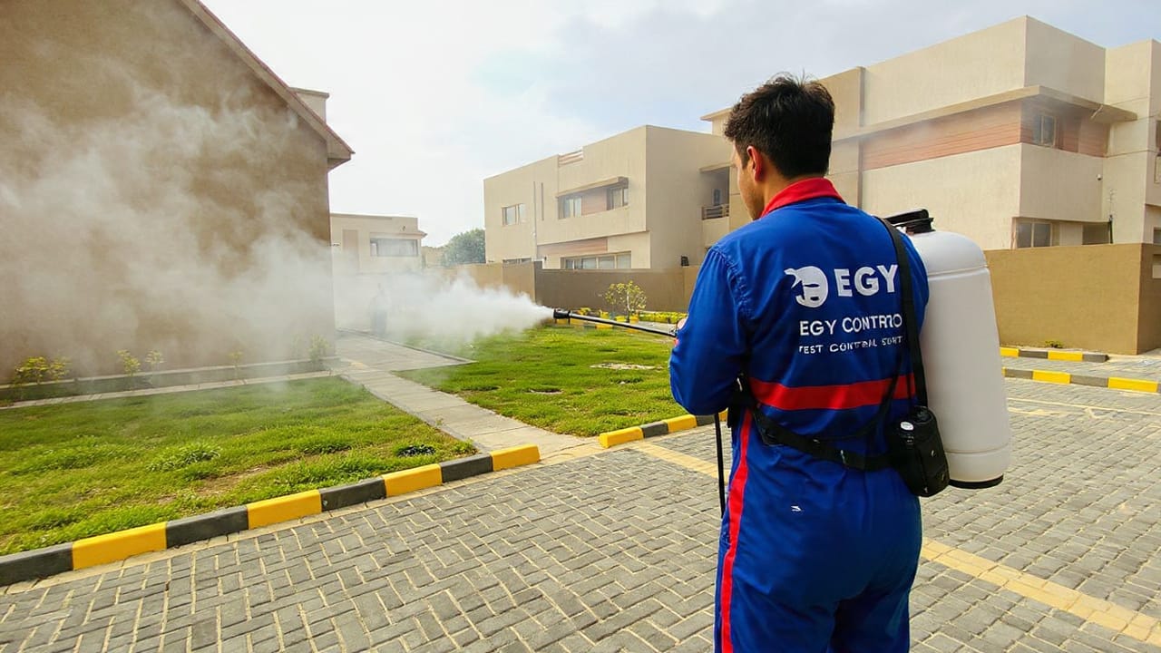 شركه مكافحة الفئران في كمبوند اصاله