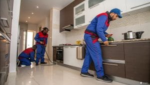 شركة مكافحة حشرات في سموحة 01060662760 خصم 55% 10 مكافحة الفئران الإسكندرية