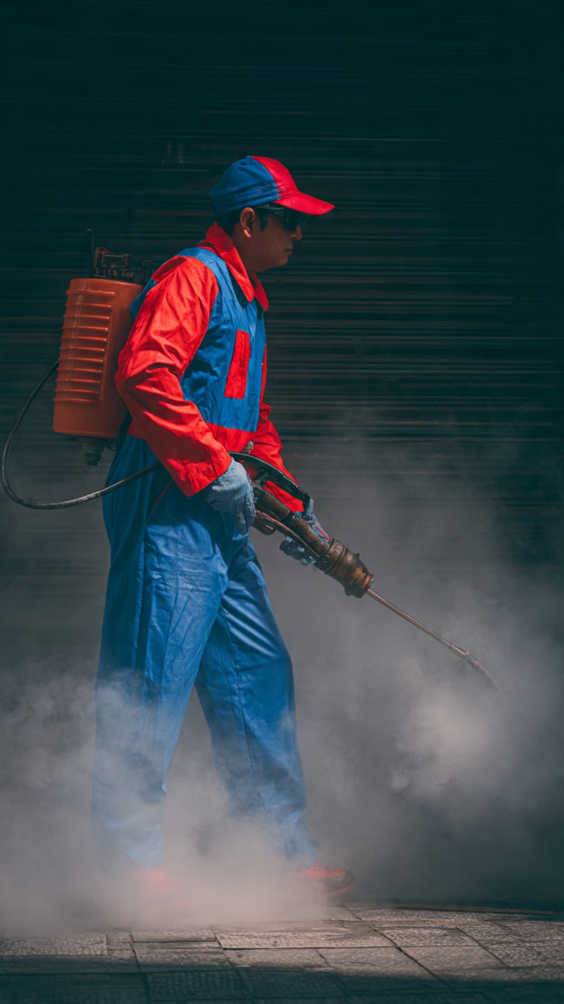 الحل الأمثل لمكافحة بق الفراش في مدينة الشيخ زايد 01060662760 خصم 50% 9 تخلص من بق الفراش