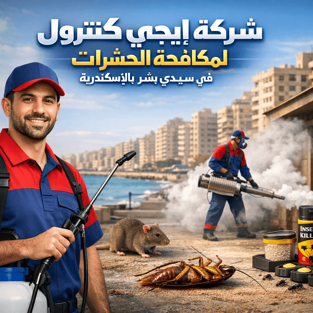 مكافحة الفئران فى سيدى بشر