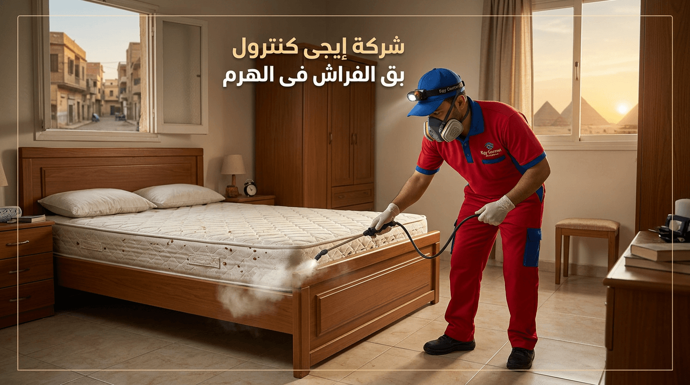 مكافحة بق الفراش في الهرم