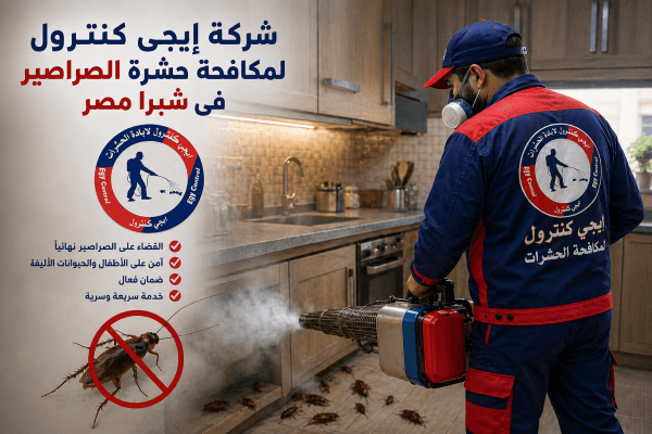 مكافحة الصراصير في شبرا مصر