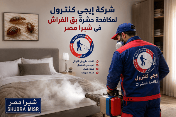 مكافحة بق الفراش في شبرا مصر