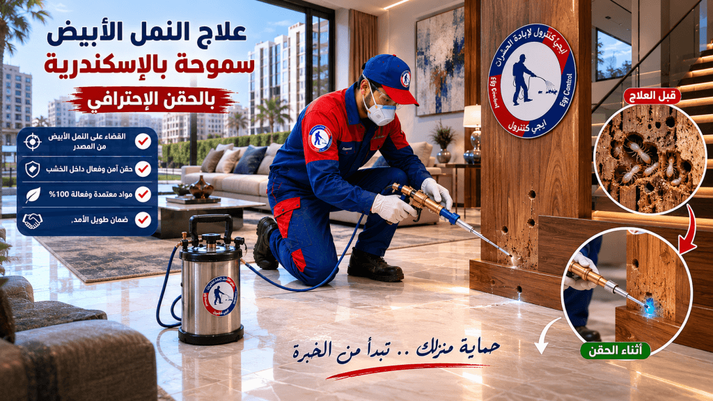 افضل شركة مكافحة نمل ابيض في سموحة