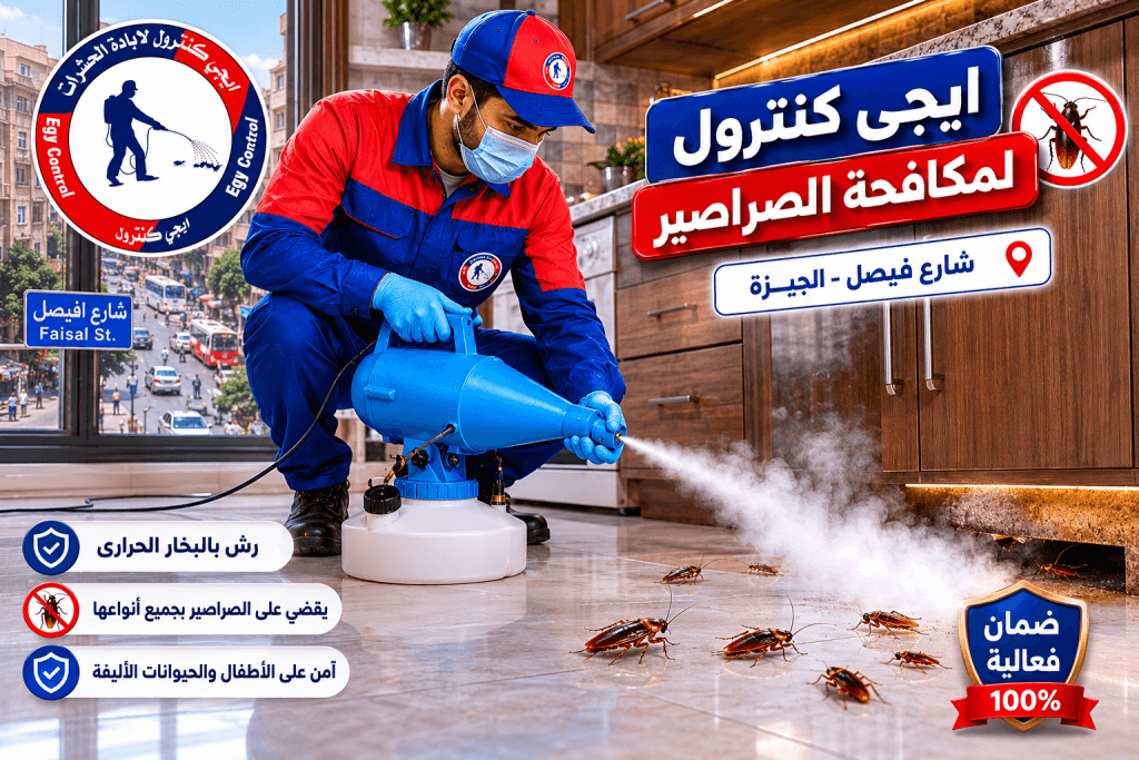 التخلص من الصراصير في فيصل
