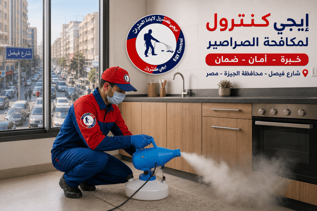 رش صراصير في شارع فيصل