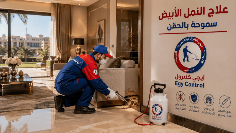 شركة رش نمل ابيض سموحة