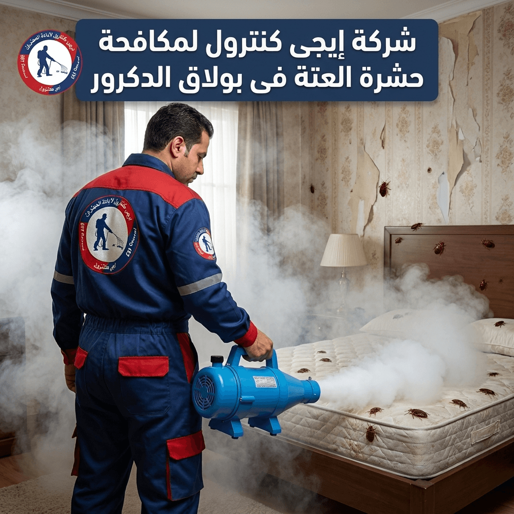 مكافحة العتة في بولاق الدكرور