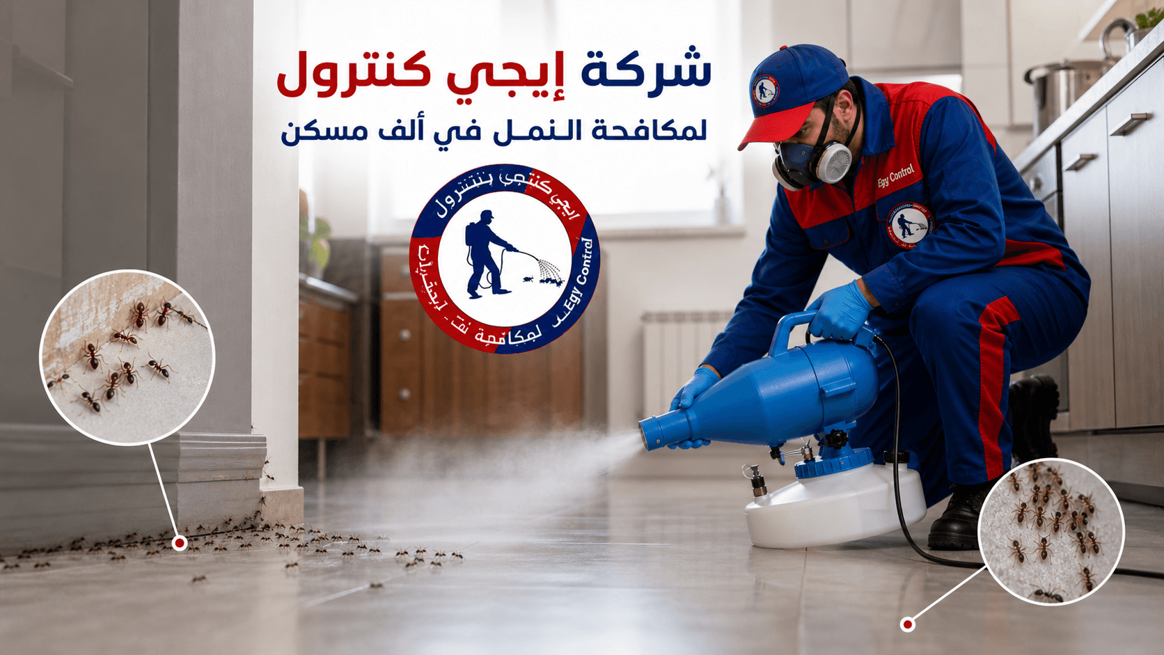 مكافحة النمل في الف مسكن