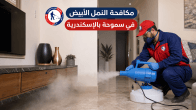 شركة مكافحة النمل الأبيض في سموحة