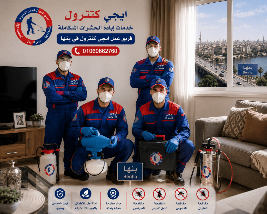 أفضل شركة مكافحة حشرات فى بنها