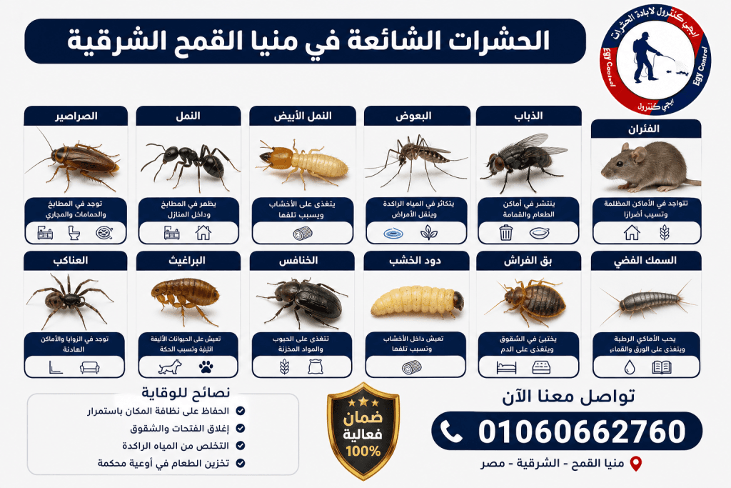 شركة مكافحة حشرات في منيا القمح 01060662760 خصم 50% 7 أنواع الحشرات المنتشرة في منيا القمح - صراصير وناموس ونمل
