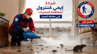 شركة مكافحة حشرات في مغاغة شركة مكافحة حشرات في مغاغة