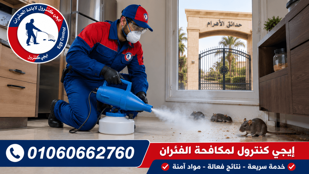 شركة مكافحة حشرات في بوابة منقرع حدائق الأهرام 01060662760 خصم 50% 7 مكافحة الفئران في بوابة منقرع حداق الأهرام