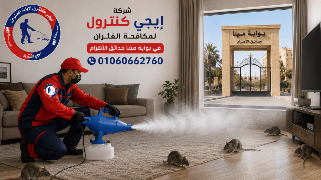 مكافحة الفئران في بوابة مينا