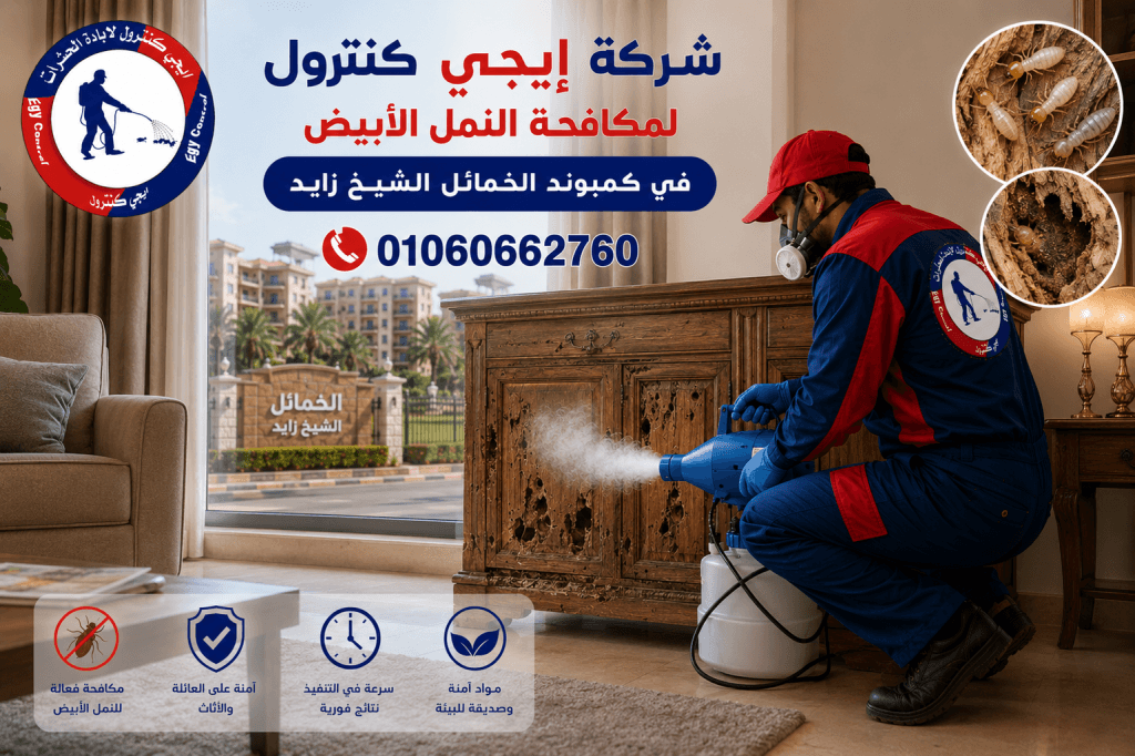 شركة مكافحة حشرات في الخمائل الشيخ زايد 01060662760 خصم 50% 8 مكافحة النمل الأبيض في الخمائل