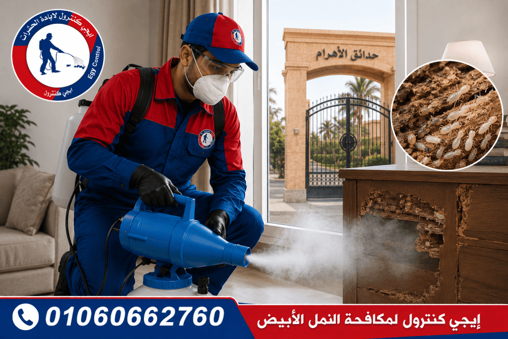 شركة مكافحة حشرات في بوابة منقرع حدائق الأهرام 01060662760 خصم 50% 9 مكافحة النمل الأبيض في بوابة منقرع