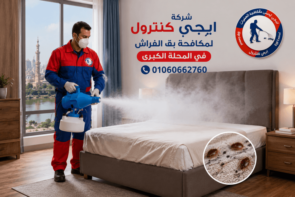 مكافحة بق الفراش في المحلة الكبرى