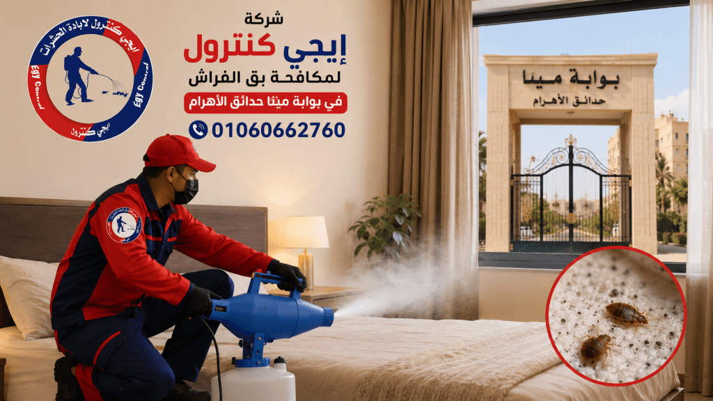 مكافحة بق الفراش في بوابة مينا
