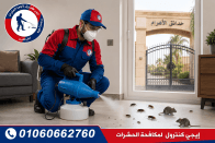 شركة مكافحة حشرات في بوابة منقرع