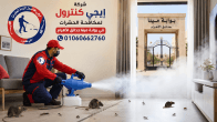 شركة مكافحة حشرات في بوابة مينا