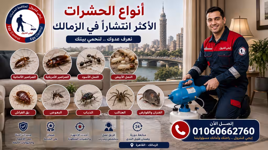 شركة مكافحة حشرات في الزمالك 01060662760 خصم 50% 8 أنواع الحشرات الأكثر انتشاراً في الزمالك
