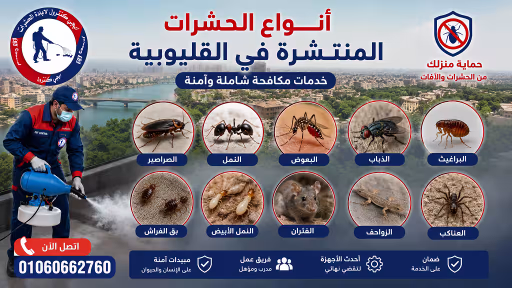 أفضل شركة مكافحة حشرات في القليوبية 01060662760 وخصم 50% 7 أنواع الحشرات المنتشرة في القليوبية
