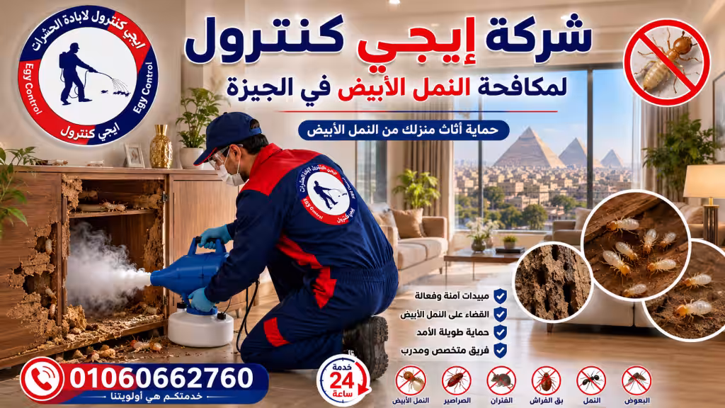 مكافحة النمل الأبيض في الجيزة