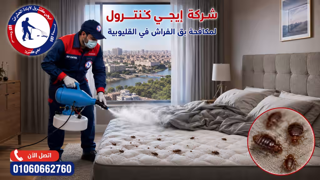 أفضل شركة مكافحة حشرات في القليوبية 01060662760 وخصم 50% 11 مكافحة بق الفراش في القليوبية