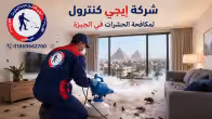 شركة مكافحة حشرات في الجيزة