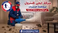 شركة مكافحة حشرات في الزقازيق