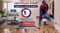 شركة مكافحة حشرات في العجوزة