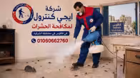 شركة مكافحة حشرات في فاقوس