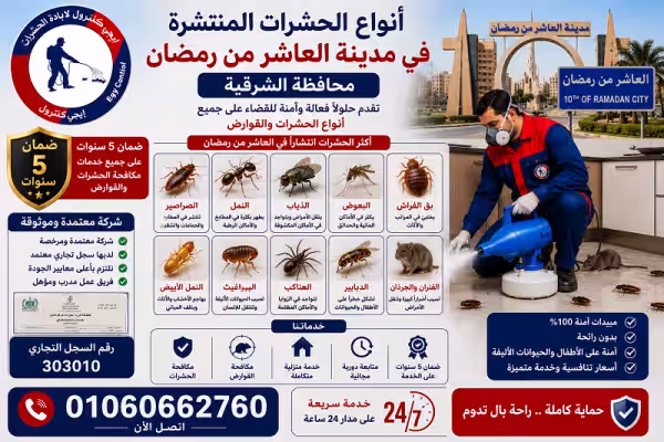 أنواع الحشرات المنتشرة في العاشر من رمضان