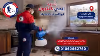 شركة مكافحة حشرات في قويسنا