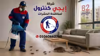 شركة مكافحة حشرات في B2 مدينتي