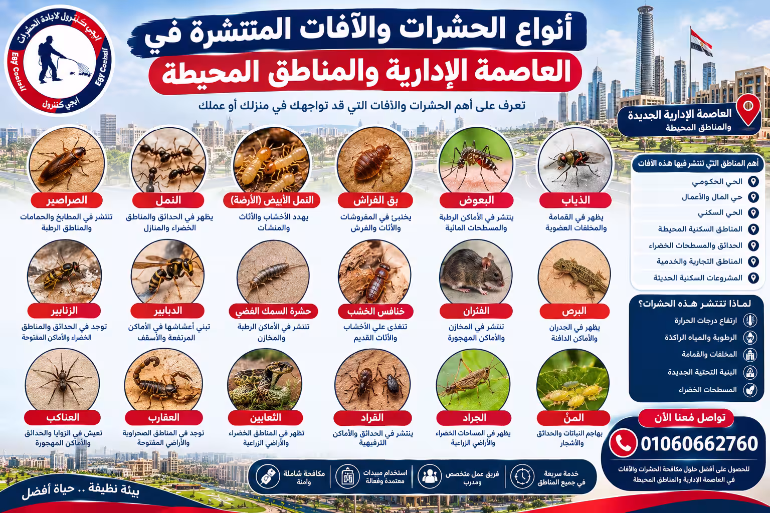 شركة مكافحة حشرات في العاصمة الإدارية 01060662760 خصم 50% 3 أنواع الحشرات والآفات المنتشرة في العاصمة الإدارية والمناطق المحيطة