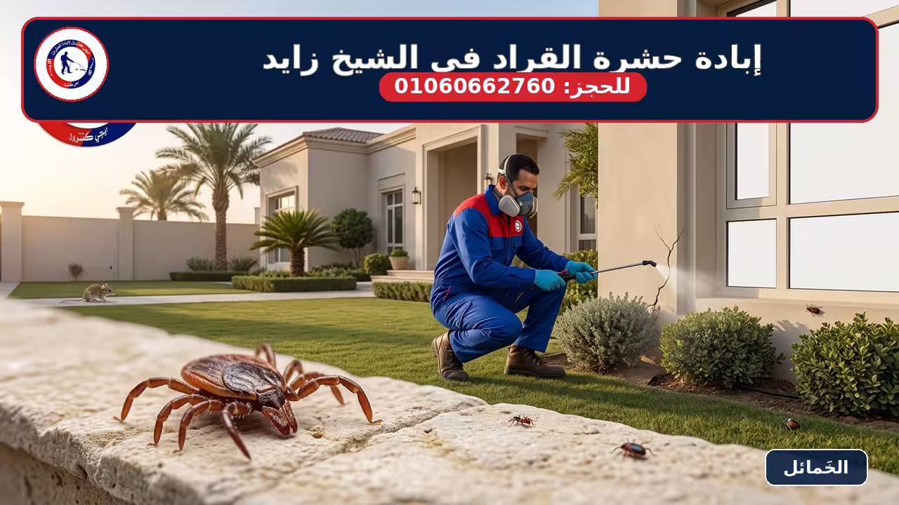 شركة مكافحة حشرة القراد في الشيخ زايد 01060662760 خصم 50% 3 شكل حشرة القراد عن قرب - Rhipicephalus sanguineus - قراد الكلاب البني - ابادة حشرة القراد في الشيخ زايد